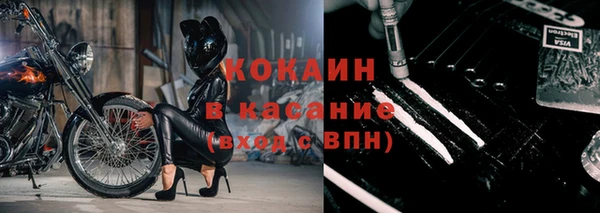 индика Балахна