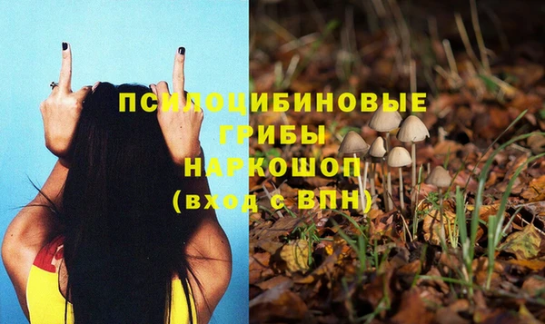 индика Балахна