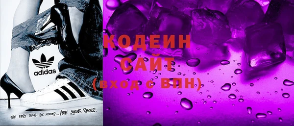 индика Балахна
