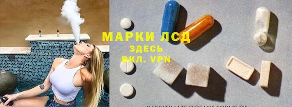индика Балахна