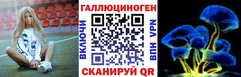 Псилоцибиновые грибы GOLDEN TEACHER  Шарья 